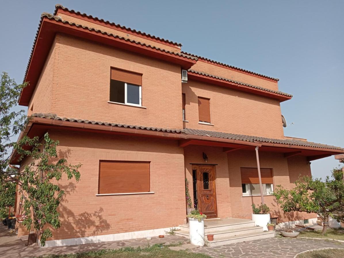 Hotel Da Piero E Gina Palidoro Exterior foto